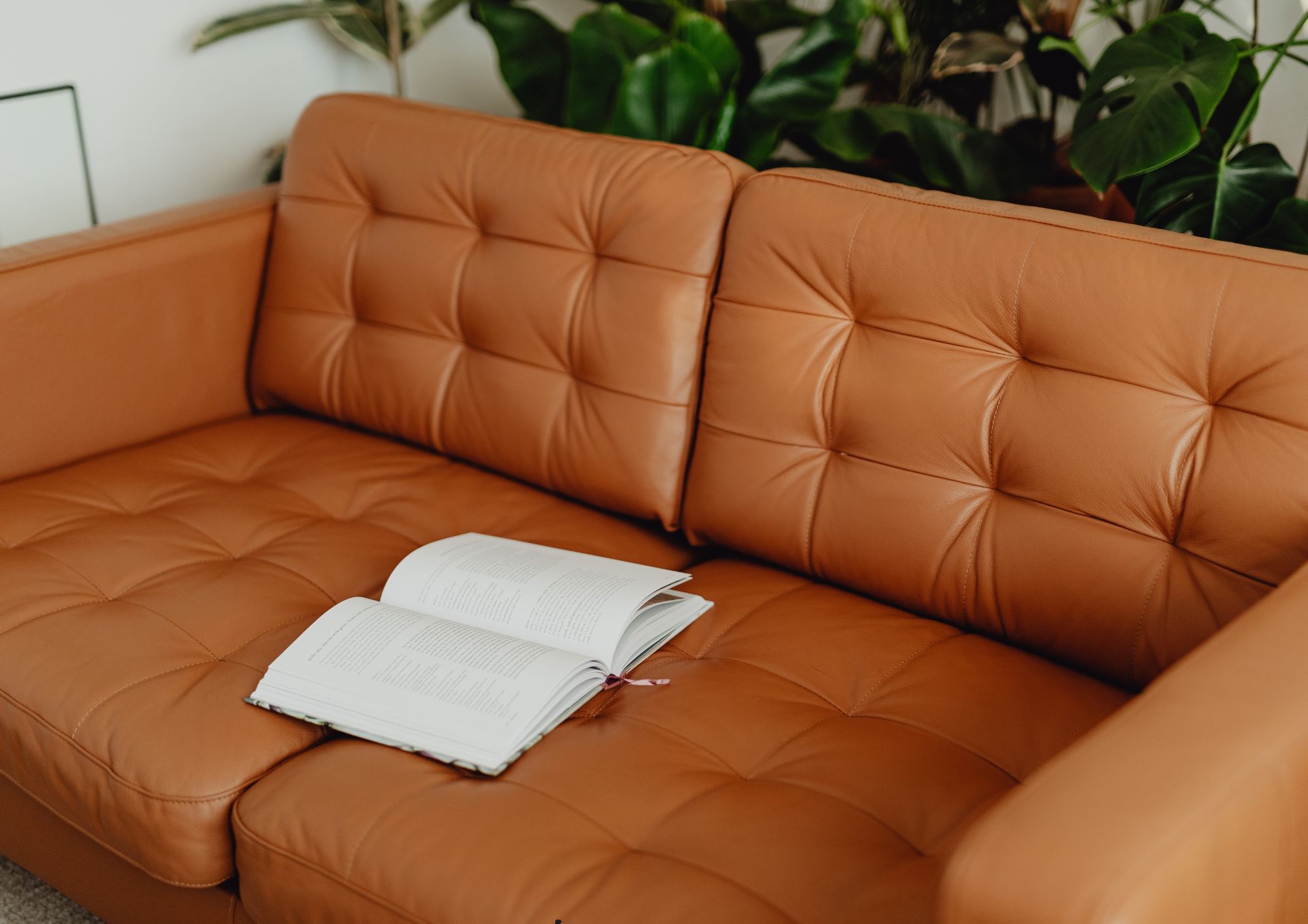 איך מנקים ספת עור